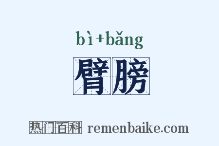 臂膀是什么意思的图片